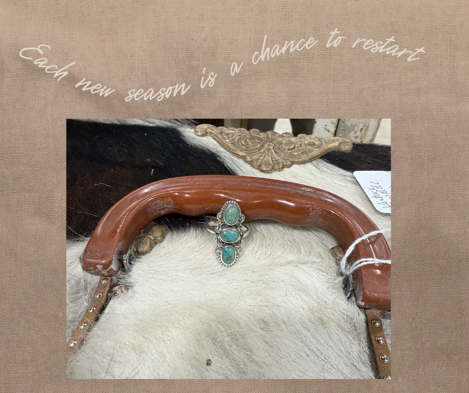 67b017214f29dc6ff5ed82f2_3-stone-ring_1753555597371.png