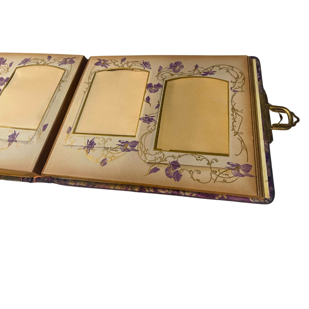 Antique Victorian Floral and Velvet Cabinet Photo Album - 3